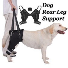 Dog Rear Legs Support Strap