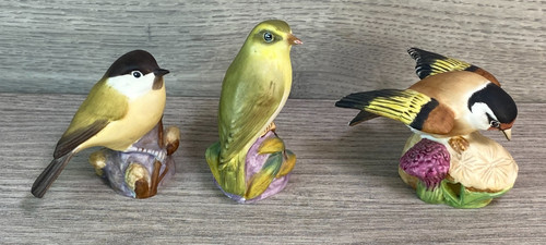 Royal worcester wood warbler - worcester,