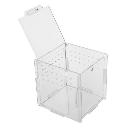 Pieces reptile terrarium - reptile,