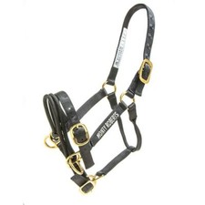 Monty Roberts DUALLY HALTER - Medium Black Nylon Headcollar How to use it DVD
