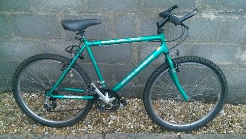 Raleigh max hybrid - max, mountain