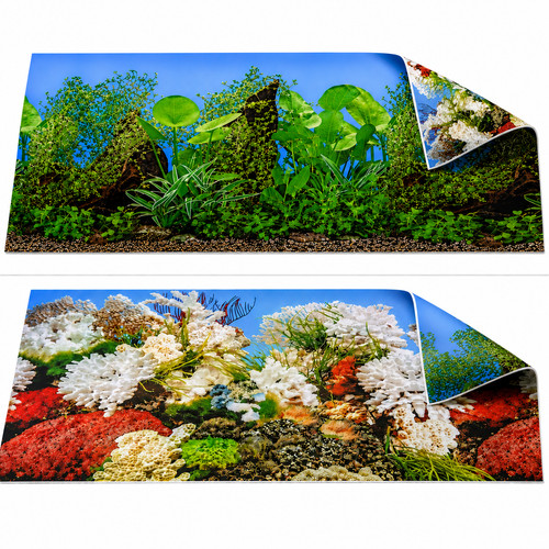 Aquarium fish tank background - fish,