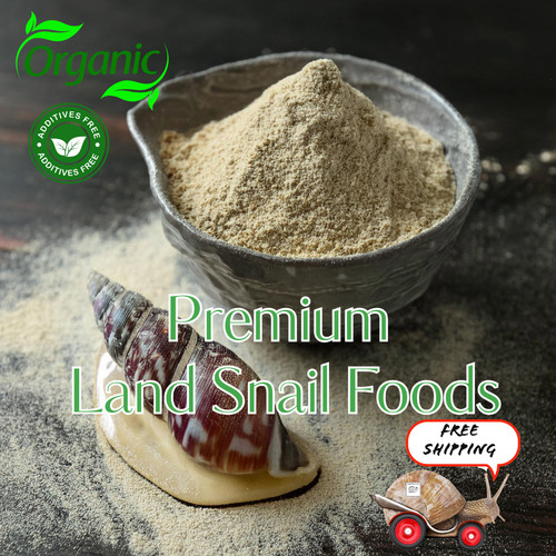 Giant african land snail food - snail,