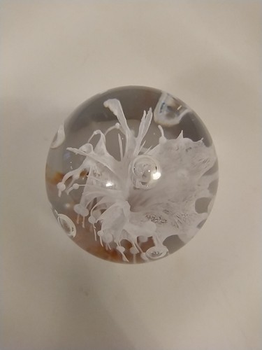 Glass oval round - glass,