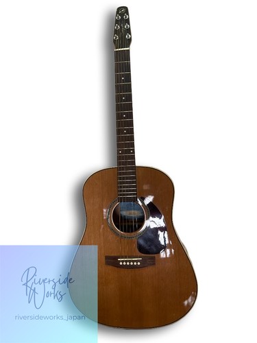 Seagull maritime cedar - seagull,