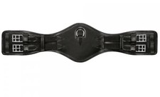 Passier Anatomical Dressage