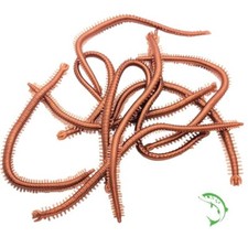 Rag Worm Lug Worm Imitation Soft Lures 13cm | 10 units | FISHIN ADDICT UK seller