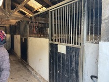 6 internal stable doors 4