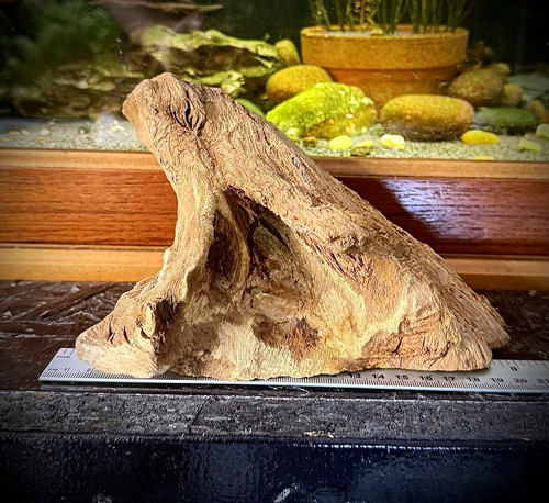 Natural aquarium driftwood - aquarium,