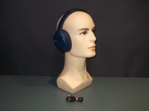 Sony ch710n noise - sony,