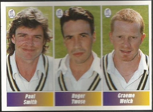 Panini cricket - panini,