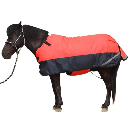 Leberna foal mini horse - leberna,