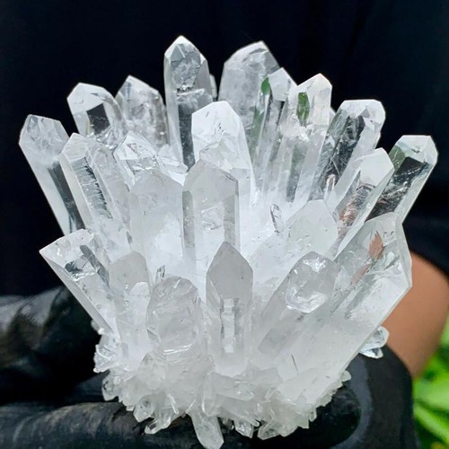 500 600g large natural - large, clear