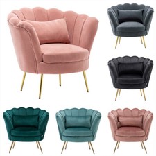 Velvet Oyster Scallop Shell