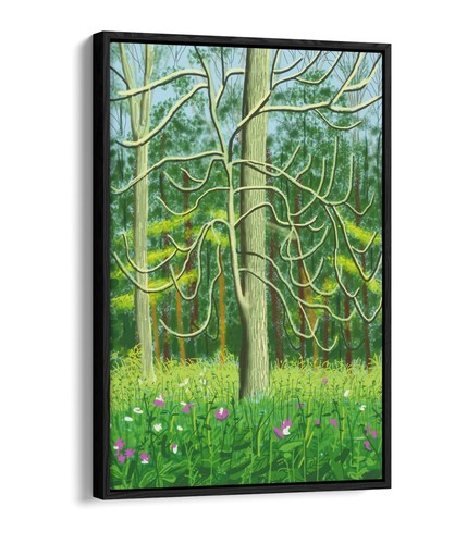 Arrival spring david - of,