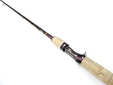 Fenwick. Golden Wing Tour