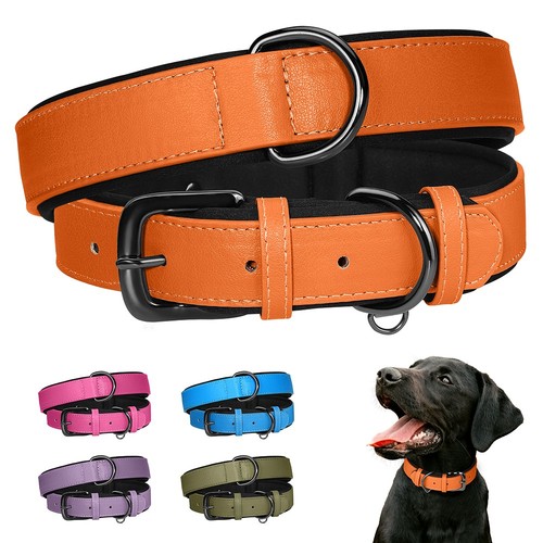 Bright colors pu leather - xs-xl,