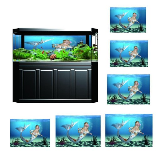 Aquarium background picture - aquarium,