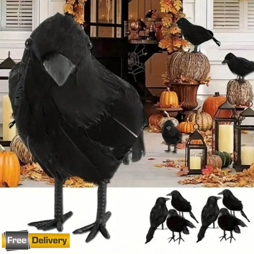 Realistic feathered black - black, crow