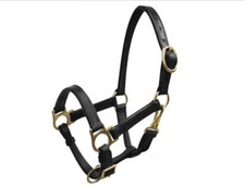 Brown Leather Turnout Halter Brass Fittings & Throat Latch MINIATURE MINI Horse