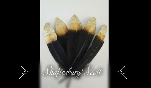 Feathers large x goose - feathers,