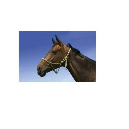 Adjustable knotted rope halter