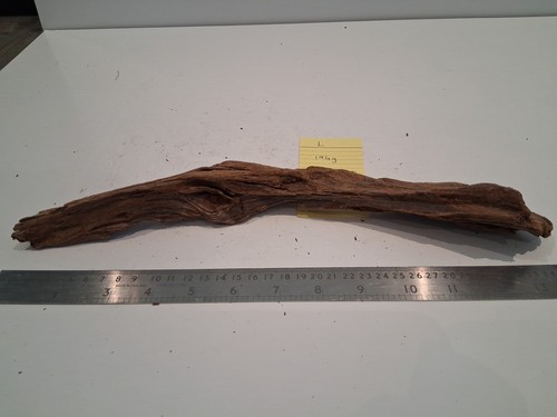 Driftwood bogwood decor - bogwood, fish