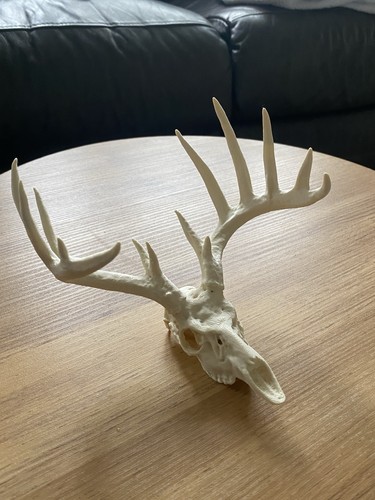 Artificial deer and antlers - artificial,