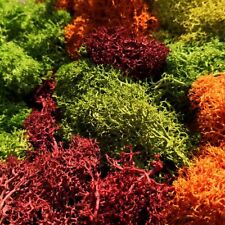 JAVIS Model Railway Lichen - Train Layout Scenery Maker - Foliage Greenery 