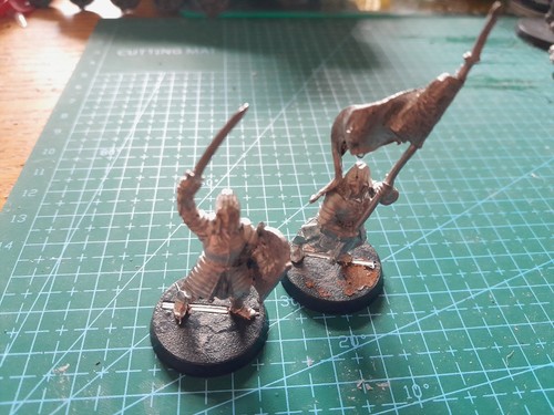 Minas tirith command captain - command,