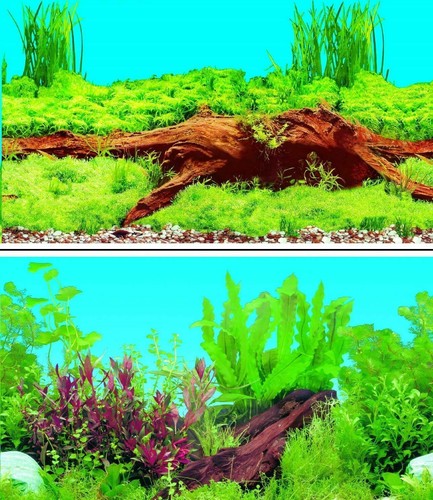 Aquarium fish tank - aquarium, background