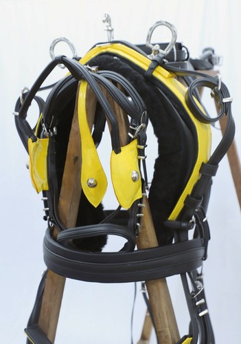 Pvc biothatne tie down - /,