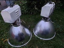 21 x Thorn Reclamation Large