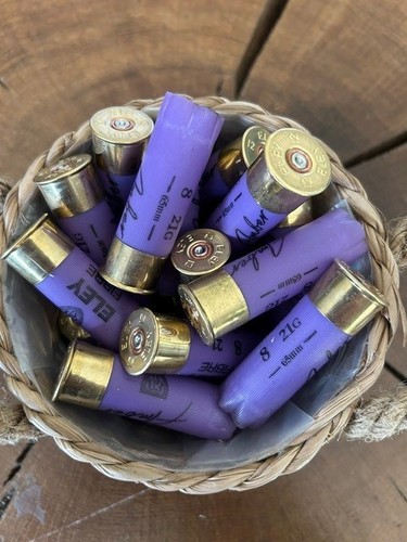 Spent shotgun cartridge - spent,