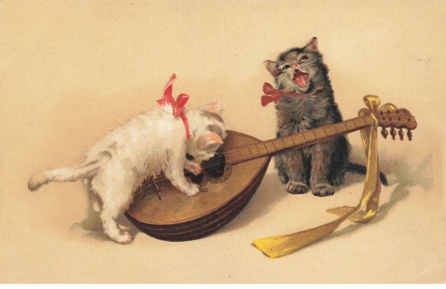 Cats mk39901 white - white, gray