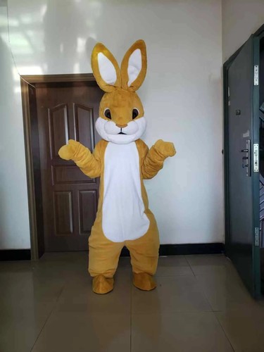 Adult black rabbit - rabbit, mascot