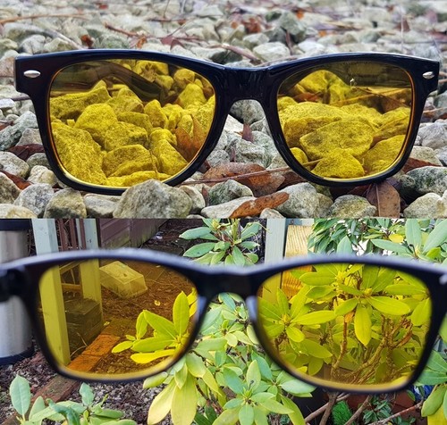 Unisex anti glare vision - unisex,