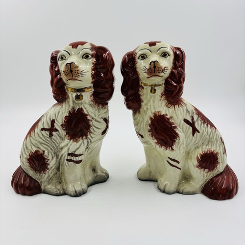 Vtg staffordshire spaniel - vtg,