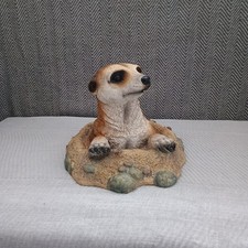 Meerkat Garden Animal 'Out Of