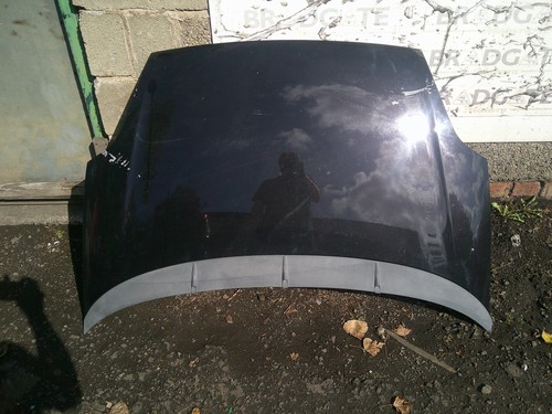 Fiat punto evo - evo, bonnet