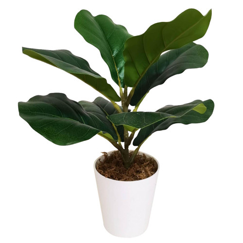 38cm potted artificial - potted, fiddle