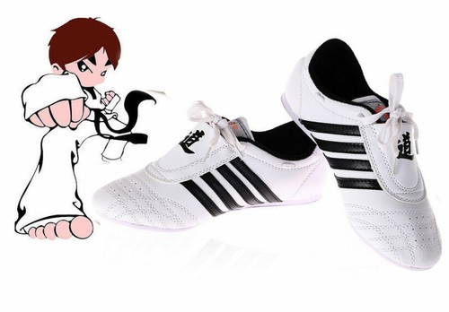 Taekwondo training shoe kung - taekwondo,
