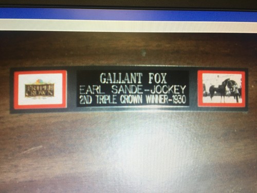 Gallant fox - gallant, racing)