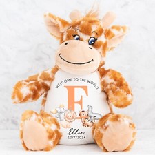 Personalised New Baby Teddy