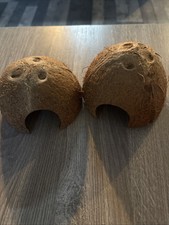 Swell Reptiles Natural Dry