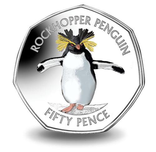2017 northern rockhopper - 2017,