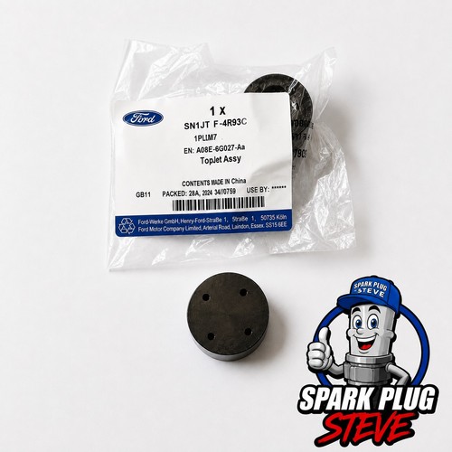 Ford fiesta st180 st200 fuel - fiesta,