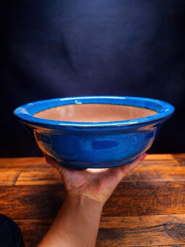 High quality bonsai pots - high,