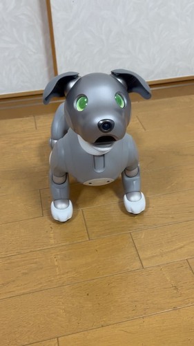 Sony aibo ers 1000 robot - robot, dog