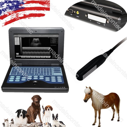 Veterinary portable ultrasound - portable,